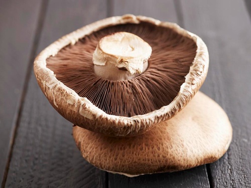 褐蘑菇 (5)